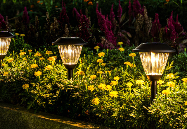 Budget-Friendly Landscape Lighting